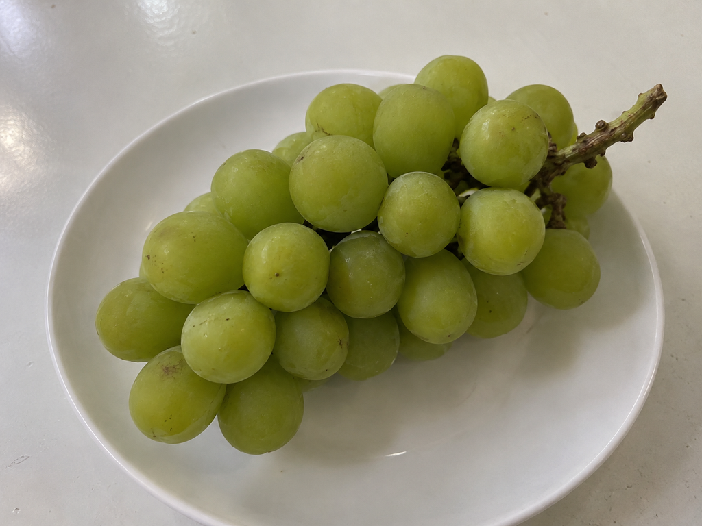 Korean-grown Shine Muscat grapes with a September 2026