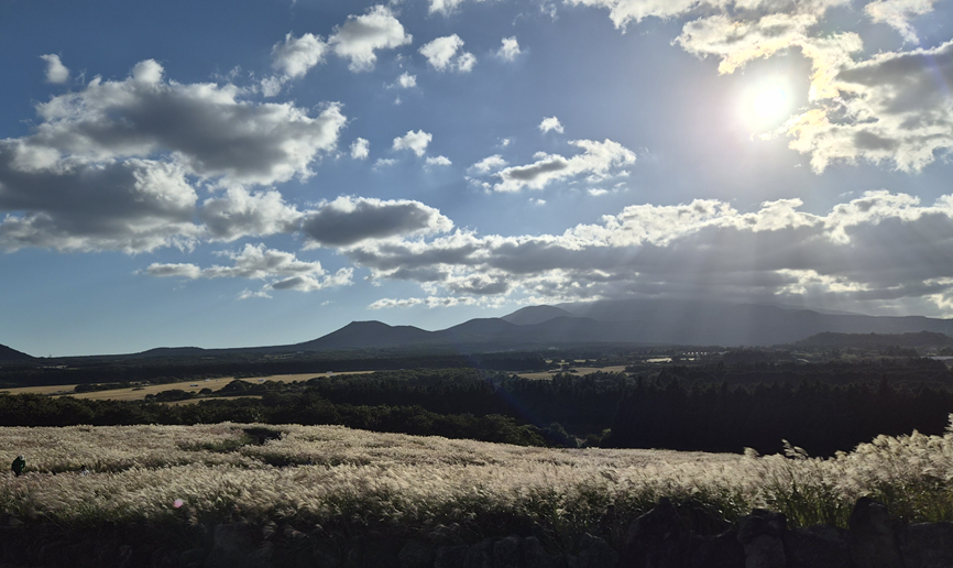Silver grass and a distant mountain ridge under a cloudy sky at Sangumburi
